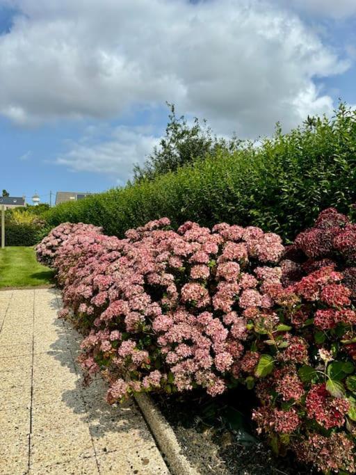 Ty Loho - Grande Maison A Landéda Buitenkant foto